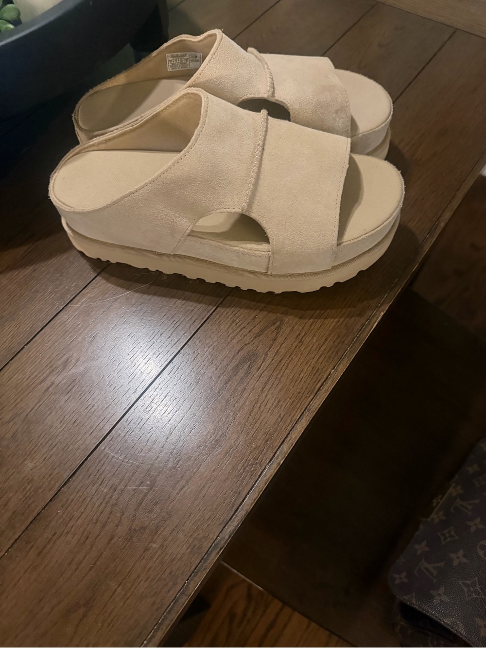 UGG Women's Beige Suede Platform Slide Sandals